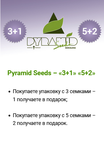 Акции