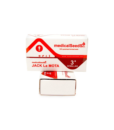 Семена сорта Jack La Mota Семена сорта Jack La Mota — изображение 2