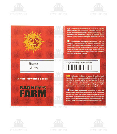 Runtz Auto fem (Barney's Farm) Runtz Auto fem (Barney's Farm) — изображение 2