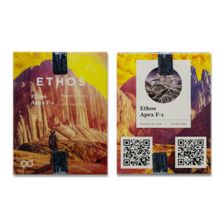Сорт GMO Zkittlez F1 reg (Ethos Genetics) Сорт GMO Zkittlez F1 reg (Ethos Genetics)