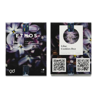Сорт Lilac Cookies Bx2 reg (Ethos Genetics) Сорт Lilac Cookies Bx2 reg (Ethos Genetics)
