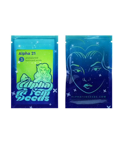Сорт Alpha 21 fem (AlphaFem Seeds) Сорт Alpha 21 fem (AlphaFem Seeds) — изображение 2