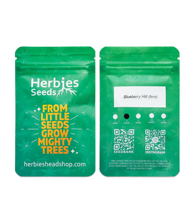 Сорт Blueberry Hill fem (Herbies Seeds) Сорт Blueberry Hill fem (Herbies Seeds) — изображение 2