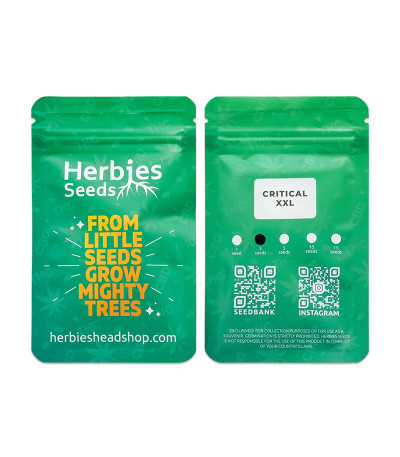 Сорт Critical XXL fem (Herbies Seeds) Сорт Critical XXL fem (Herbies Seeds) — изображение 2
