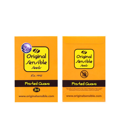 Сорт Frosted Guava fem (Original Sensible Seeds) Сорт Frosted Guava fem (Original Sensible Seeds) — изображение 2