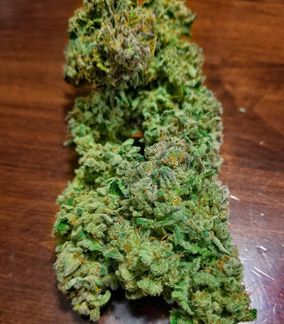 Сорт Strawberry Cheesecake Auto fem (Humboldt Seed Company) Сорт Strawberry Cheesecake Auto fem (Humboldt Seed Company) — изображение 4