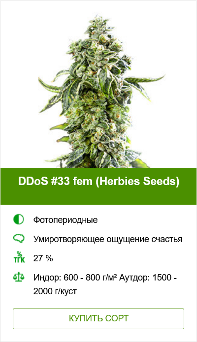 Гроурепорт DDoS #33 (Herbies Seeds)