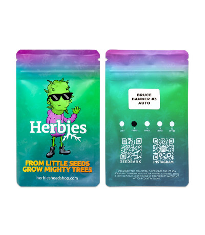 Сорт Bruce Banner #3 Auto fem (Herbies Seeds) Сорт Bruce Banner #3 Auto fem (Herbies Seeds) — изображение 2