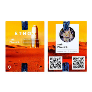 Сорт 10TH Planet R1 fem (Ethos Genetics) Сорт 10TH Planet R1 fem (Ethos Genetics)