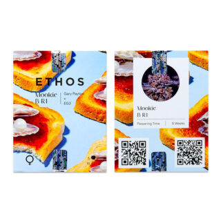 Сорт Mookie B R1 fem (Ethos Genetics) Сорт Mookie B R1 fem (Ethos Genetics)
