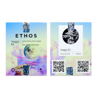 Сорт Nuggz R1 fem (Ethos Genetics) Сорт Nuggz R1 fem (Ethos Genetics)