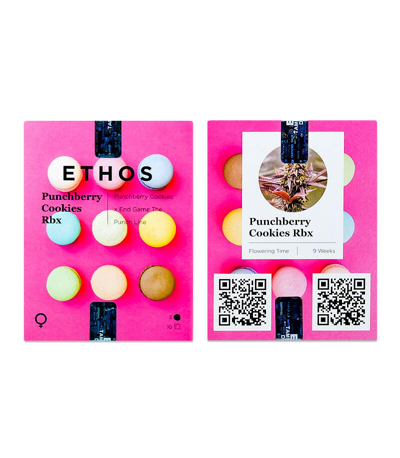 Сорт Punchberry Cookies RBX fem (Ethos Genetics) Сорт Punchberry Cookies RBX fem (Ethos Genetics)